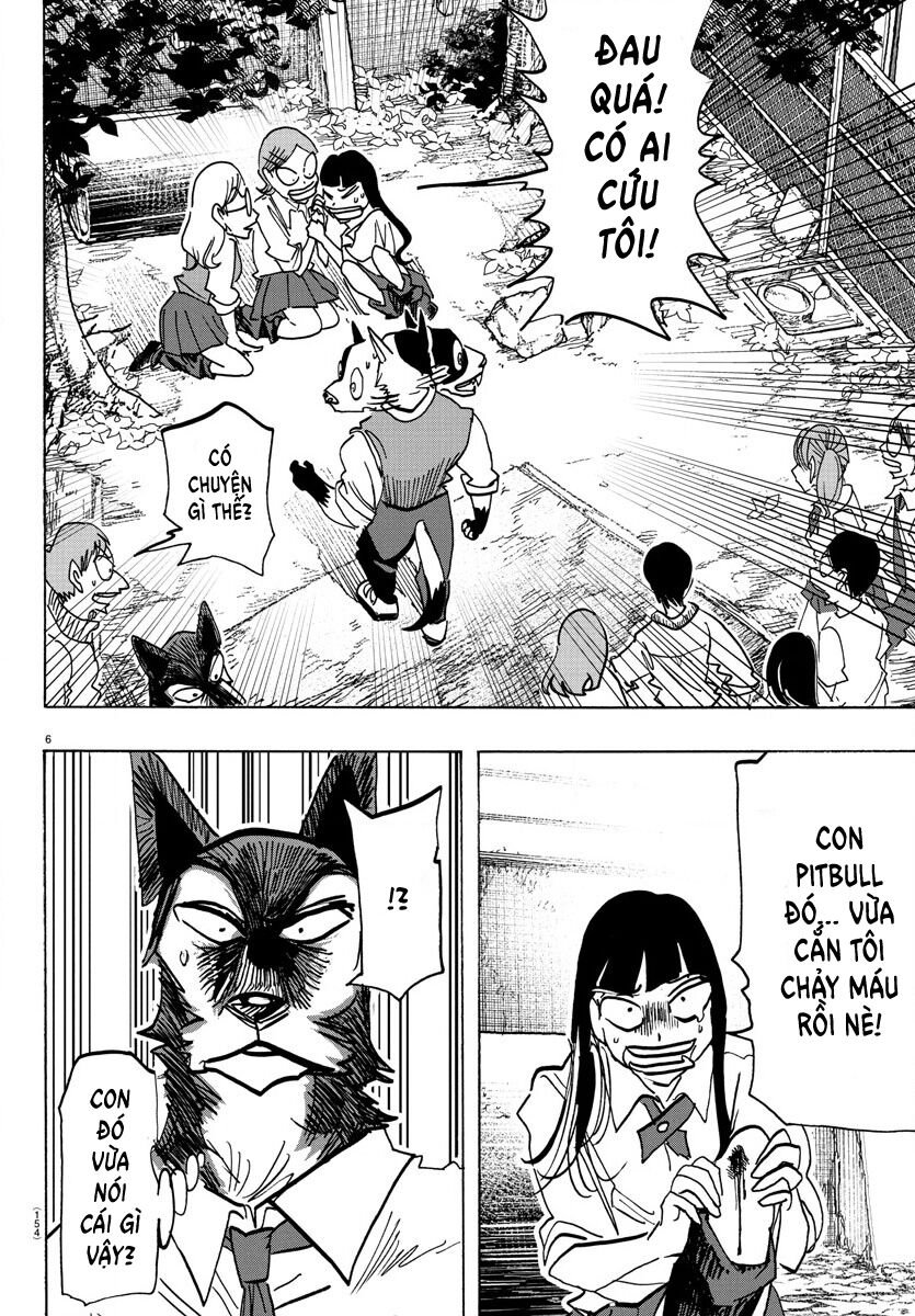 Lý Trí Của Taika: Chapter 6