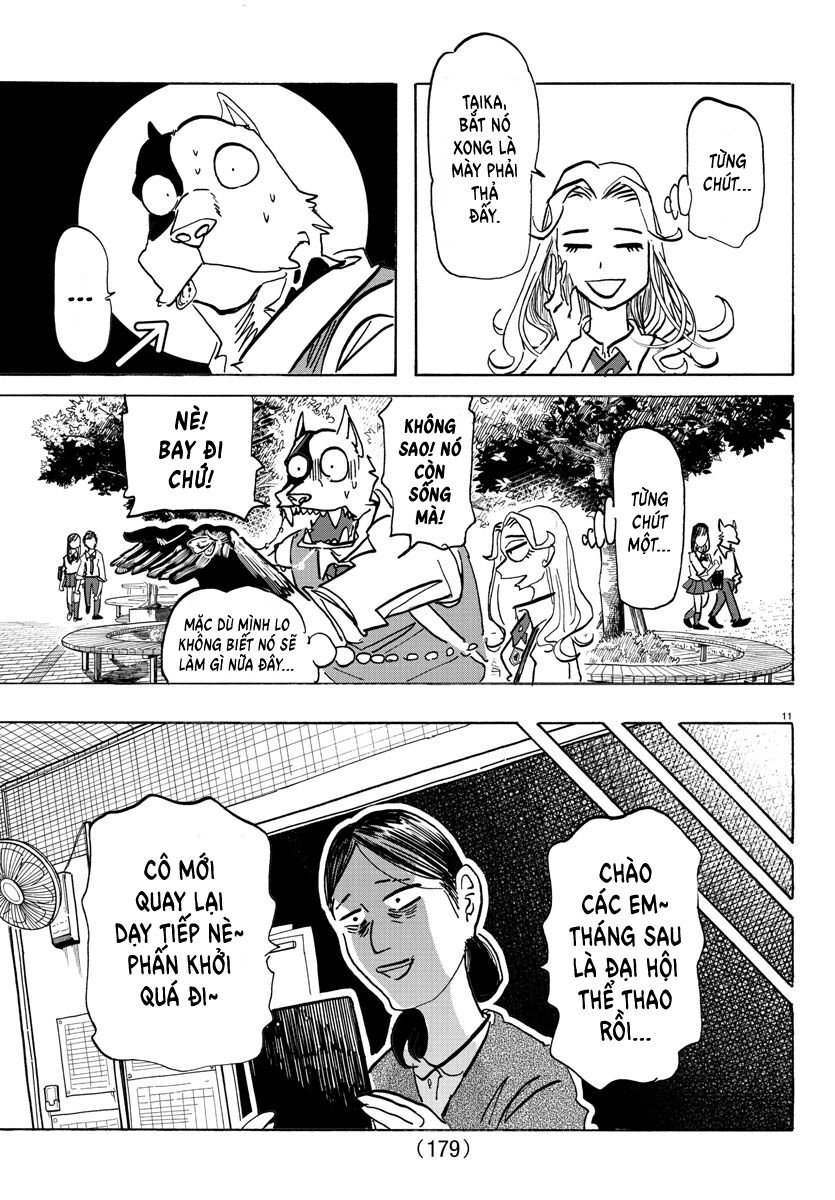Lý Trí Của Taika: Chapter 7