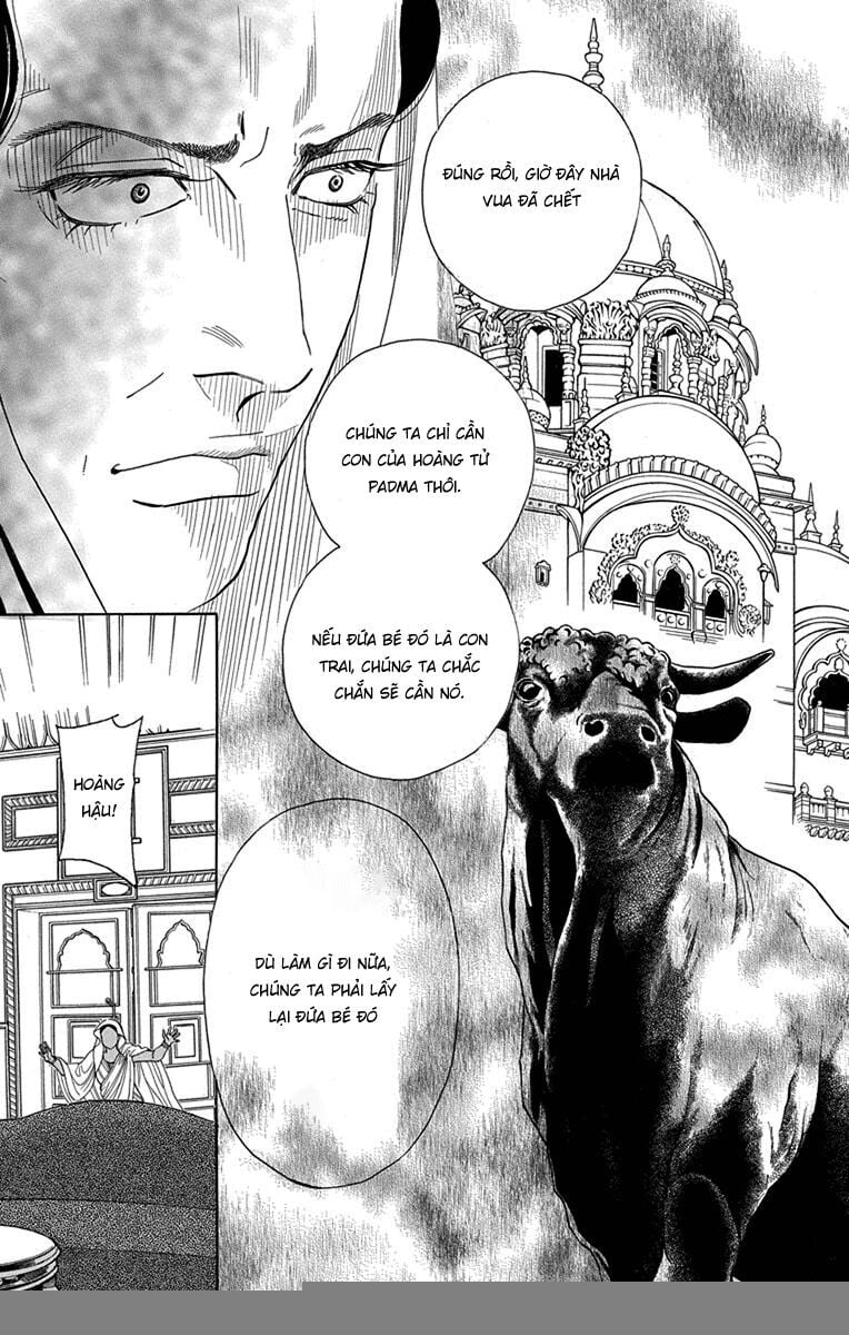 Madame Petit: Chapter 48