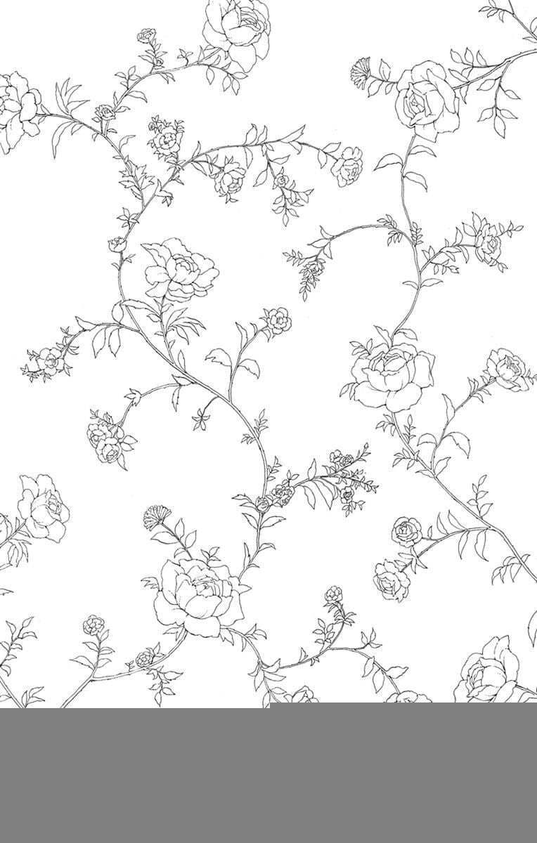 Madame Petit: Chapter 48