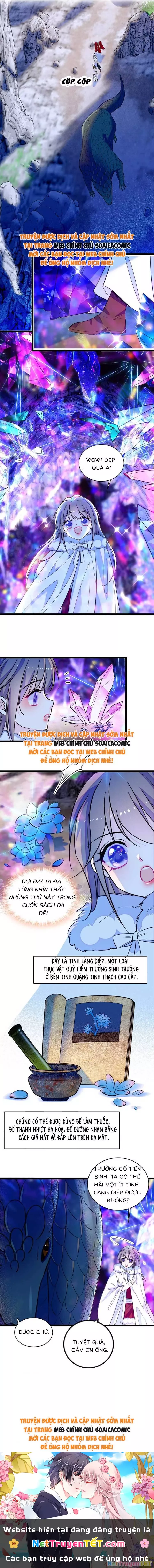 Manh Động Thú Thế: Chapter 217