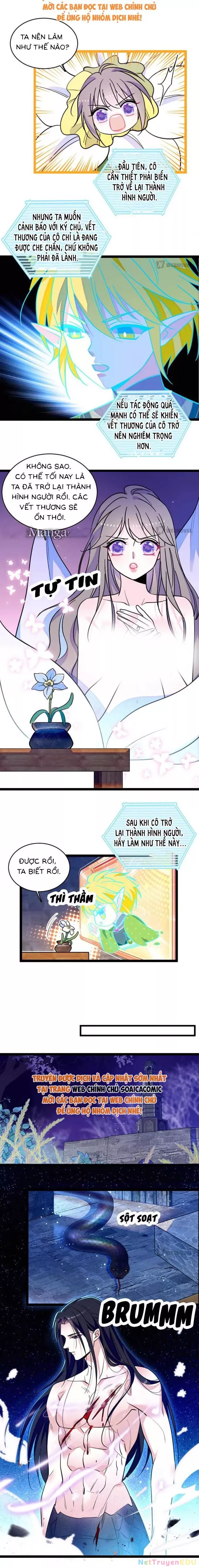 Manh Động Thú Thế: Chapter 231