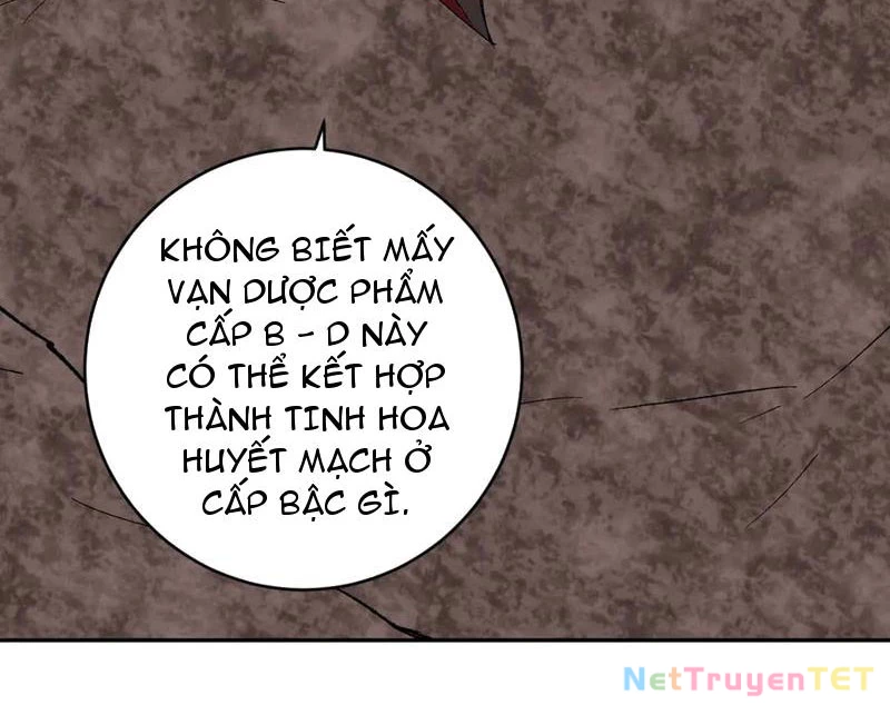 Mạt Nhật Thiên Hạ: Ta, Virus Quân Vương: Chapter 51