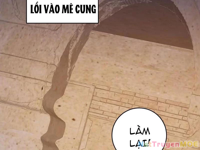 Mạt Nhật Thiên Hạ: Ta, Virus Quân Vương: Chapter 56