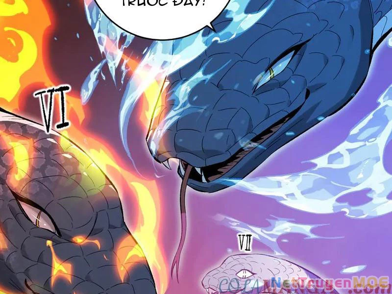 Mạt Nhật Thiên Hạ: Ta, Virus Quân Vương: Chapter 57