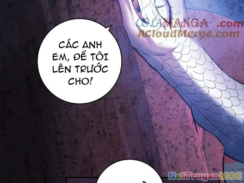 Mạt Nhật Thiên Hạ: Ta, Virus Quân Vương: Chapter 57