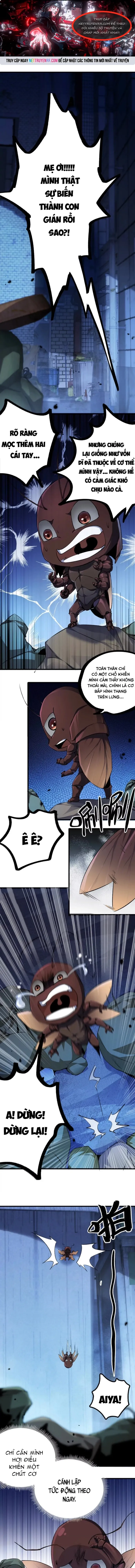 Mạt Thế Cẩu Sinh: Gián Giúp Ta Chồng Buff: Chapter 2