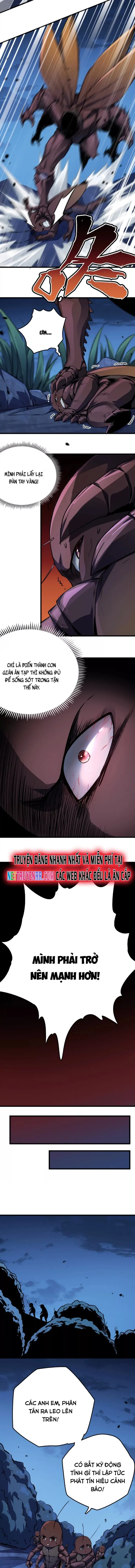 Mạt Thế Cẩu Sinh: Gián Giúp Ta Chồng Buff: Chapter 2