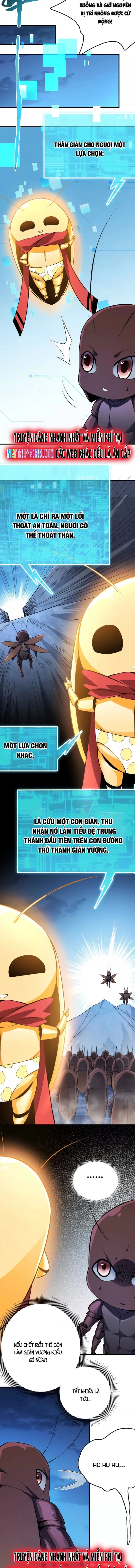 Mạt Thế Cẩu Sinh: Gián Giúp Ta Chồng Buff: Chapter 2