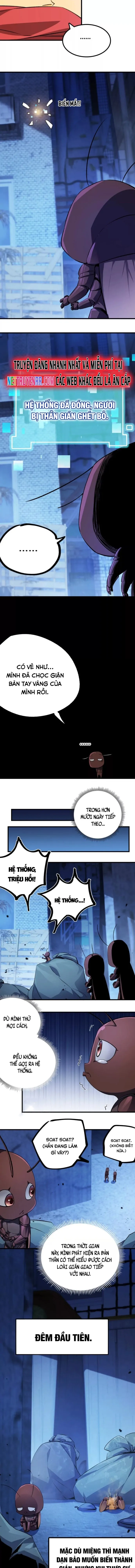 Mạt Thế Cẩu Sinh: Gián Giúp Ta Chồng Buff: Chapter 2