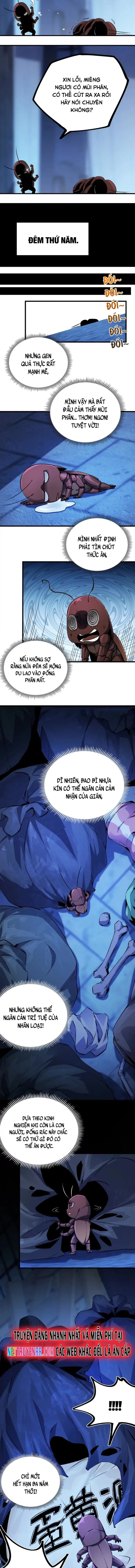 Mạt Thế Cẩu Sinh: Gián Giúp Ta Chồng Buff: Chapter 2