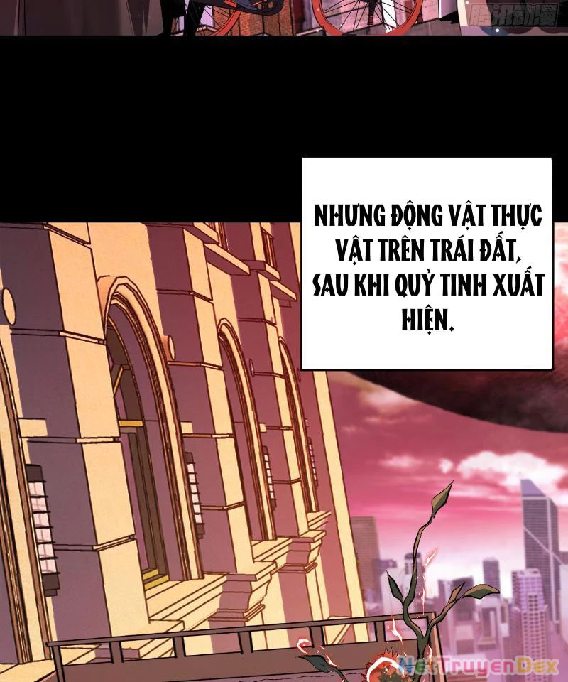 Mệnh Luân Chi Chủ! Khi Dị Biến Giáng Lâm Nhân Gian!: Chapter 1