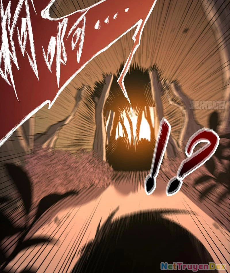 Mệnh Luân Chi Chủ! Khi Dị Biến Giáng Lâm Nhân Gian!: Chapter 2