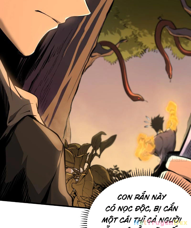 Mệnh Luân Chi Chủ! Khi Dị Biến Giáng Lâm Nhân Gian!: Chapter 2