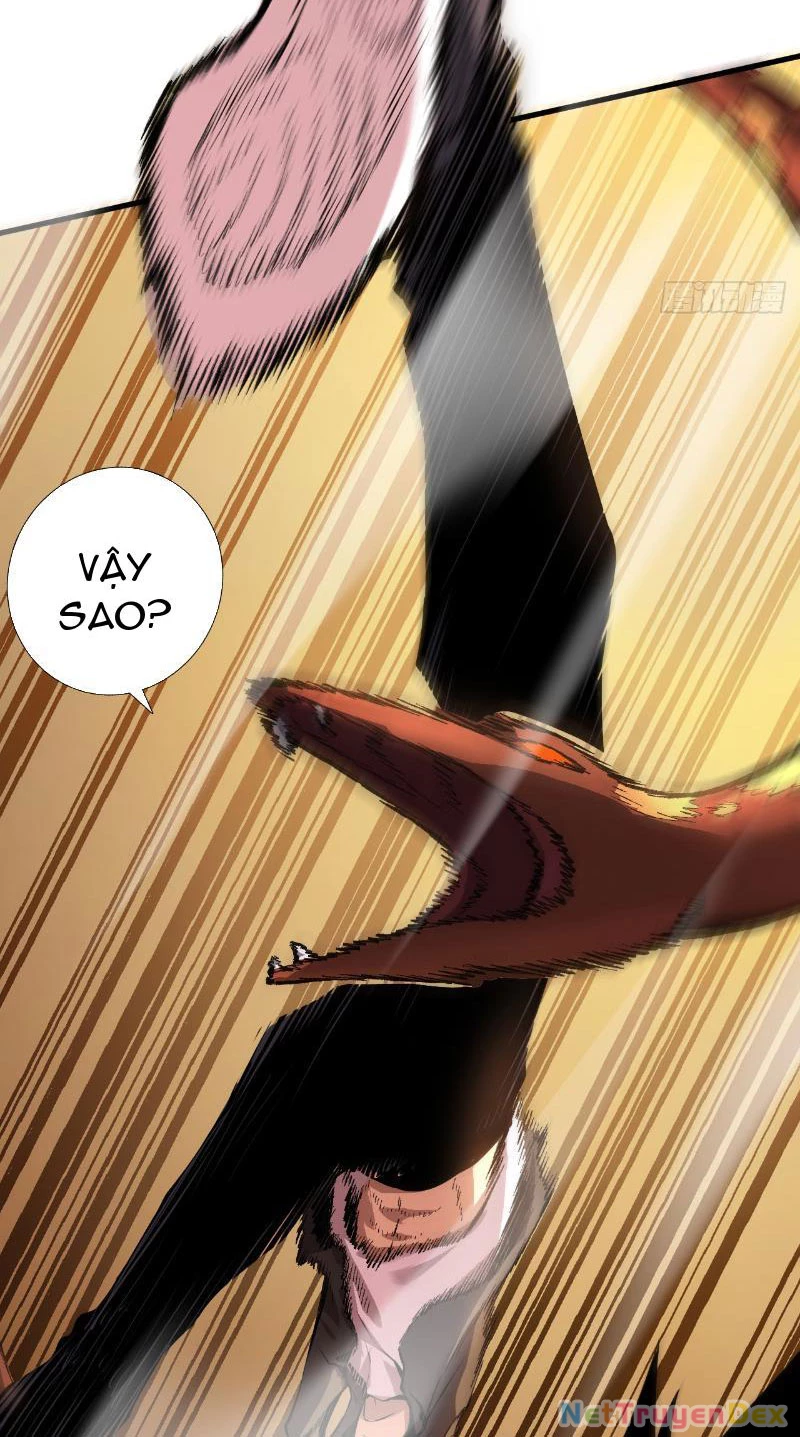 Mệnh Luân Chi Chủ! Khi Dị Biến Giáng Lâm Nhân Gian!: Chapter 3