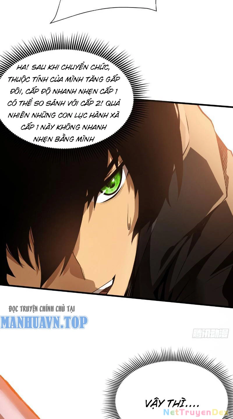 Mệnh Luân Chi Chủ! Khi Dị Biến Giáng Lâm Nhân Gian!: Chapter 3