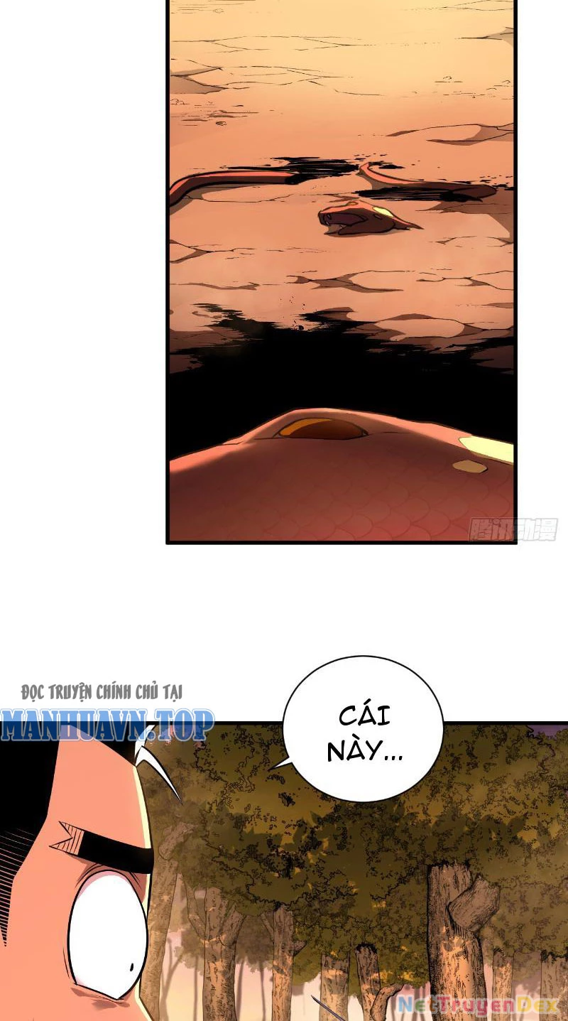 Mệnh Luân Chi Chủ! Khi Dị Biến Giáng Lâm Nhân Gian!: Chapter 3