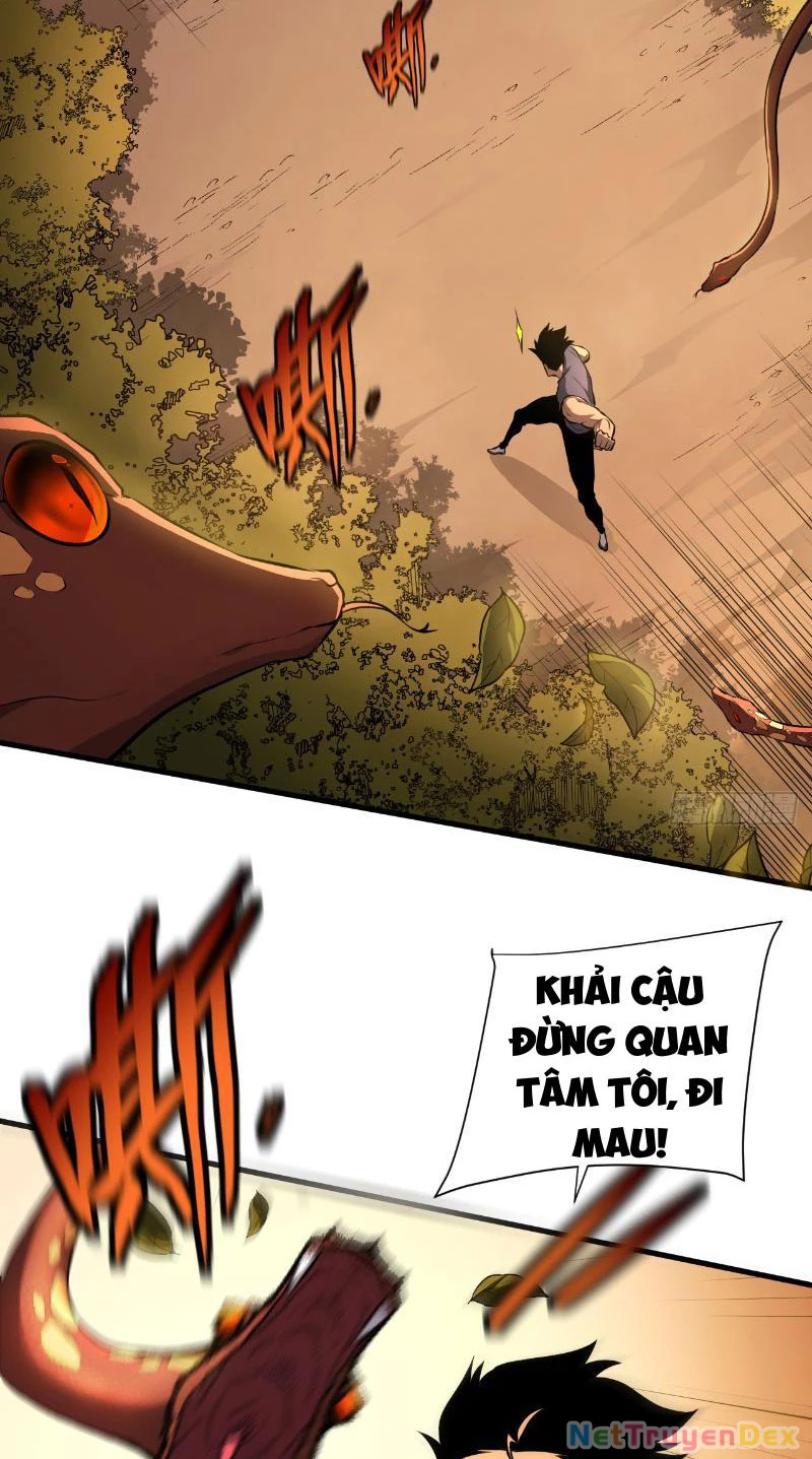 Mệnh Luân Chi Chủ! Khi Dị Biến Giáng Lâm Nhân Gian!: Chapter 3