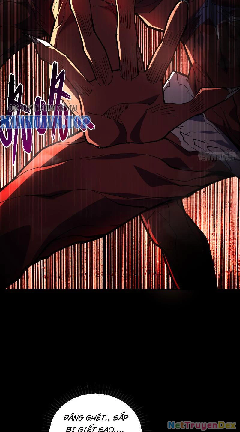 Mệnh Luân Chi Chủ! Khi Dị Biến Giáng Lâm Nhân Gian!: Chapter 4