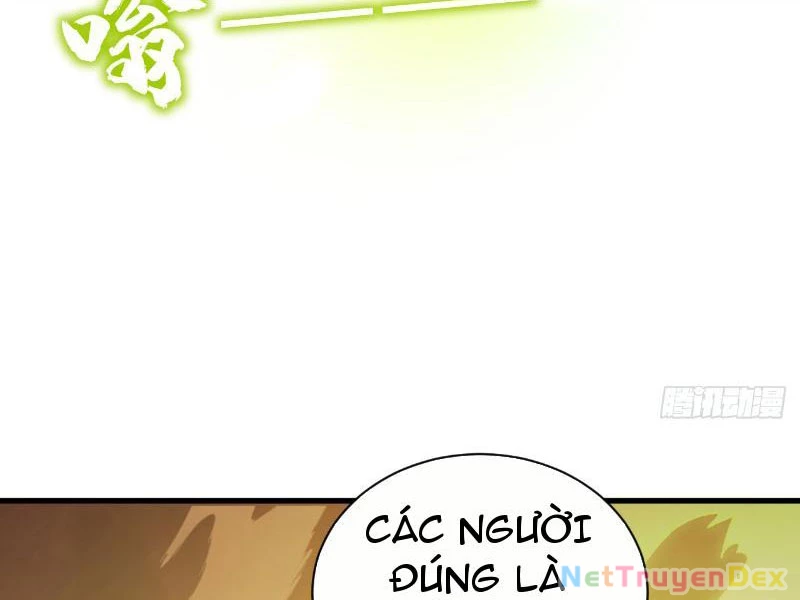 Mệnh Luân Chi Chủ! Khi Dị Biến Giáng Lâm Nhân Gian!: Chapter 5