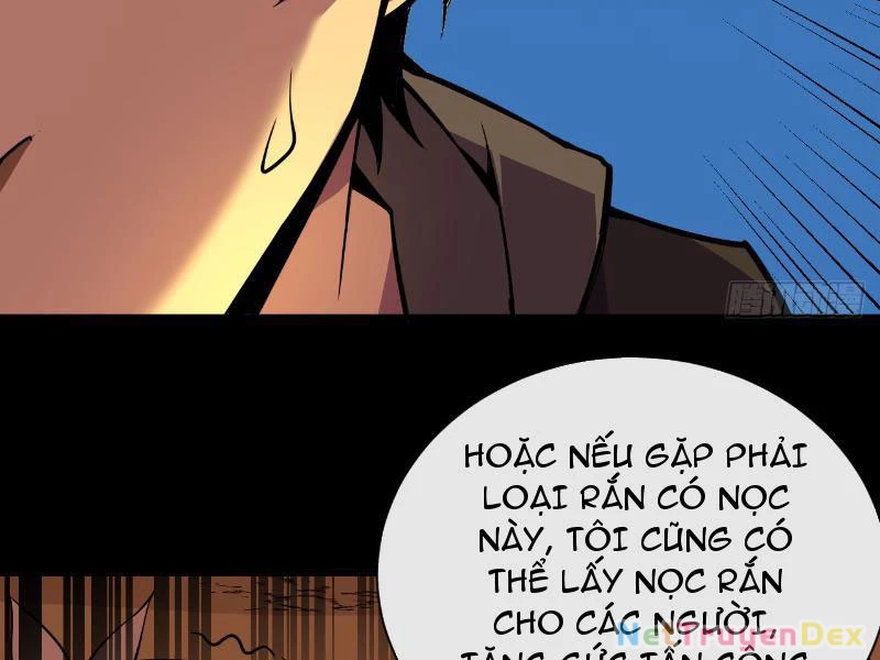 Mệnh Luân Chi Chủ! Khi Dị Biến Giáng Lâm Nhân Gian!: Chapter 5