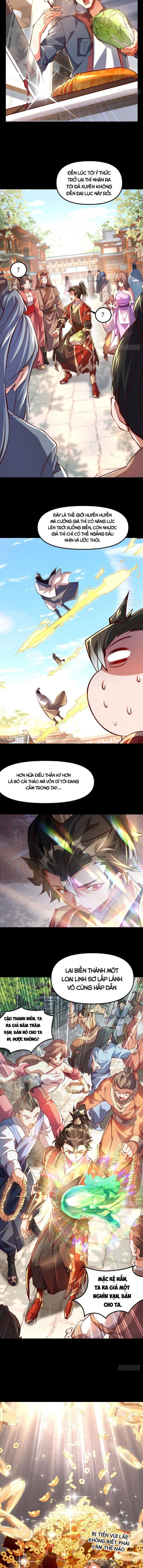 Mở Màn Cống Lên Thái Cổ Tiên Dược, Ta Khiến Thánh Chủ Sợ Chết Khiếp: Chapter 1