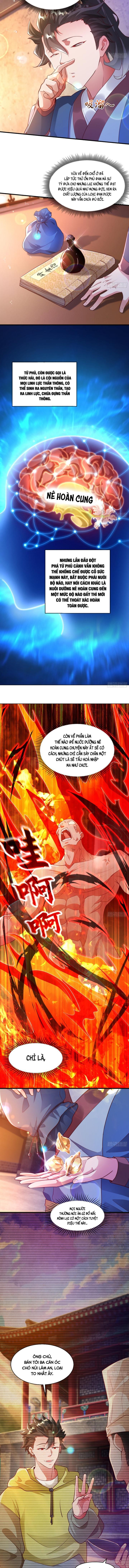 Mở Màn Cống Lên Thái Cổ Tiên Dược, Ta Khiến Thánh Chủ Sợ Chết Khiếp: Chapter 47