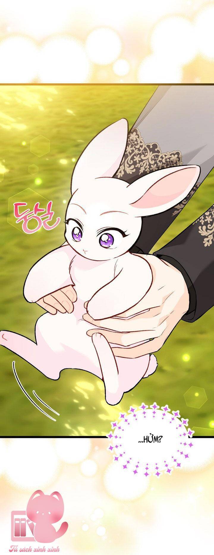 Mối Quan Hệ Cộng Sinh Giữa Báo Đen Và Thỏ Trắng: Chapter 127