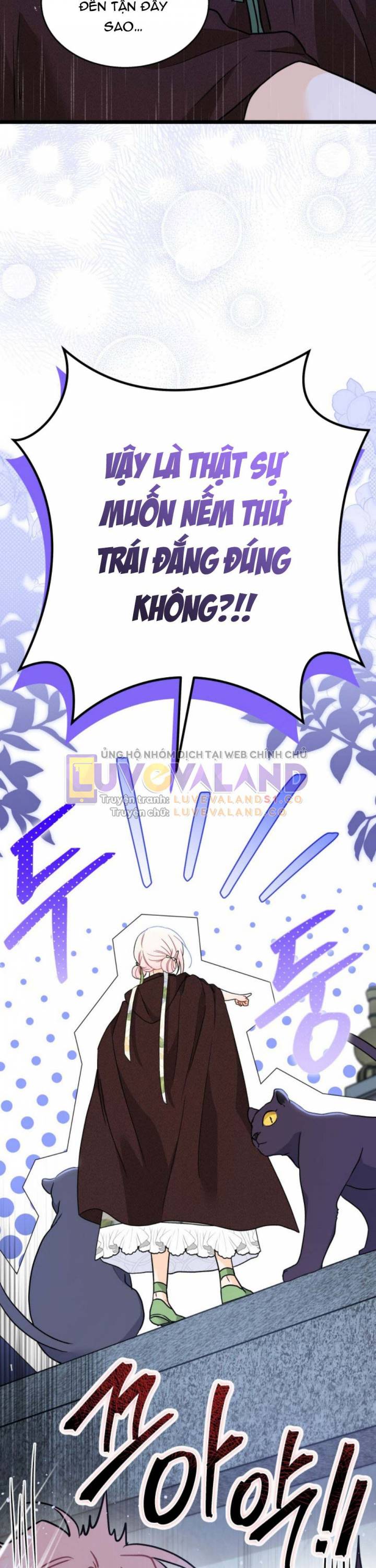 Mối Quan Hệ Cộng Sinh Giữa Báo Đen Và Thỏ Trắng: Chapter 158
