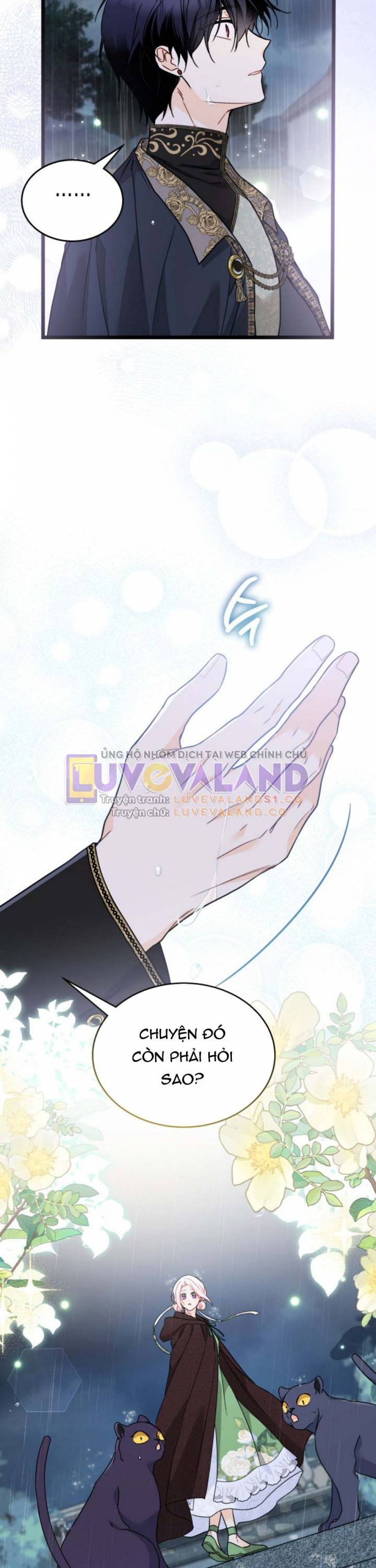 Mối Quan Hệ Cộng Sinh Giữa Báo Đen Và Thỏ Trắng: Chapter 158