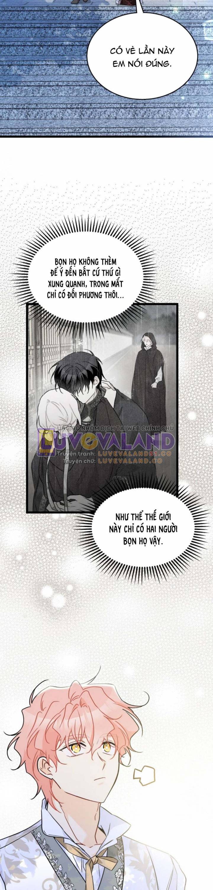 Mối Quan Hệ Cộng Sinh Giữa Báo Đen Và Thỏ Trắng: Chapter 158