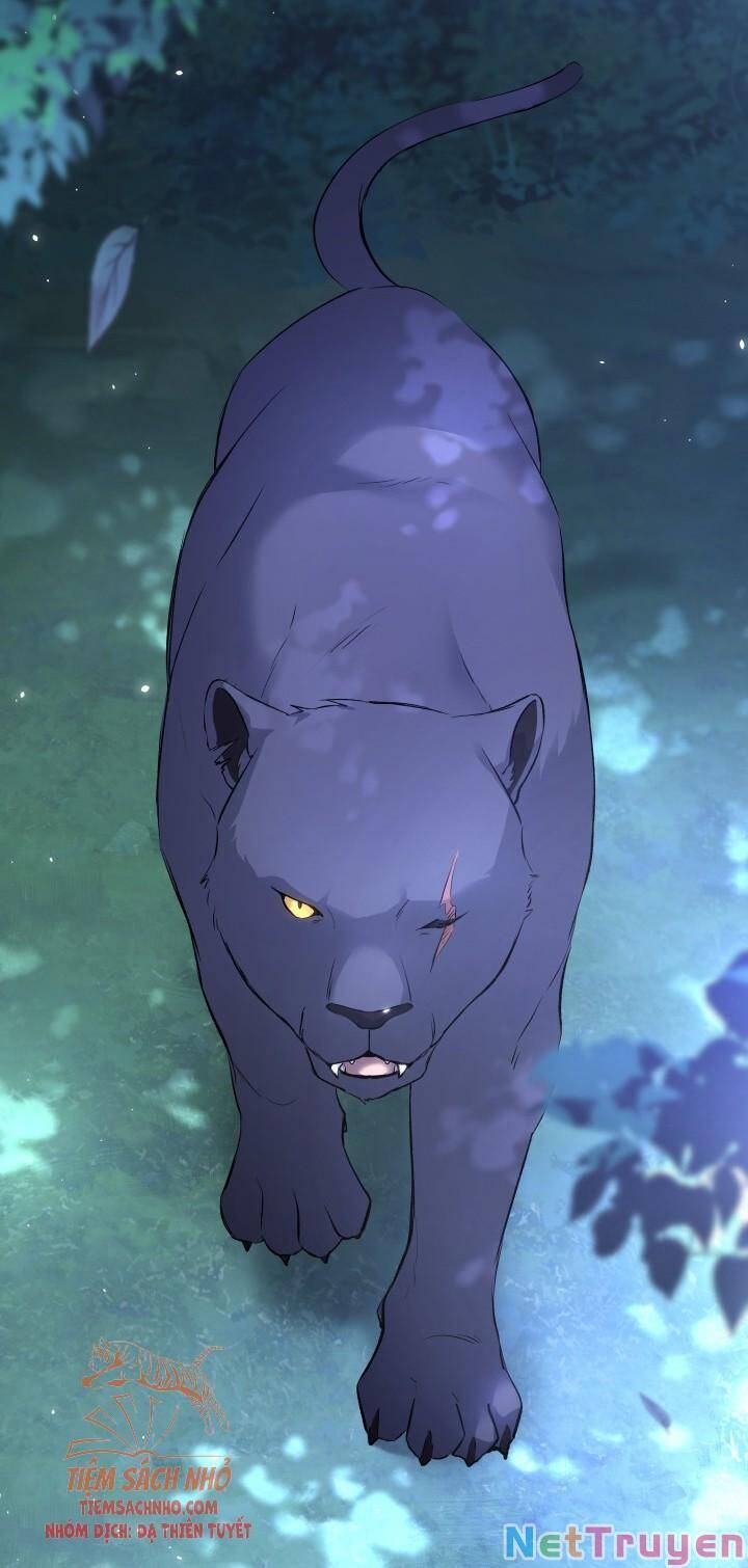 Mối Quan Hệ Cộng Sinh Giữa Báo Đen Và Thỏ Trắng: Chapter 50