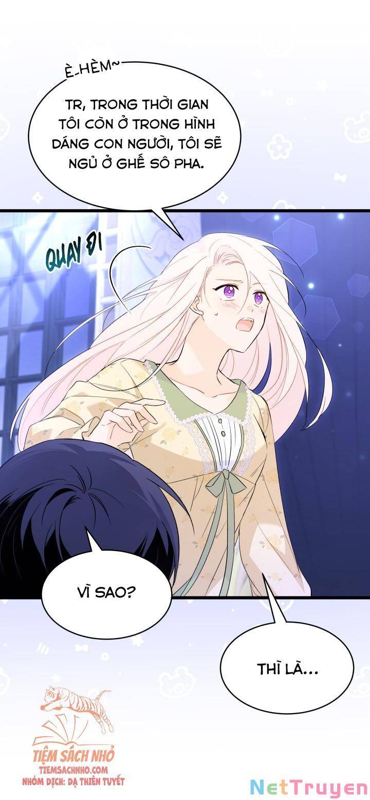 Mối Quan Hệ Cộng Sinh Giữa Báo Đen Và Thỏ Trắng: Chapter 53