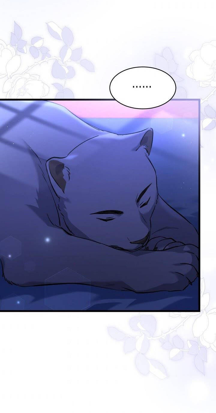 Mối Quan Hệ Cộng Sinh Giữa Báo Đen Và Thỏ Trắng: Chapter 54