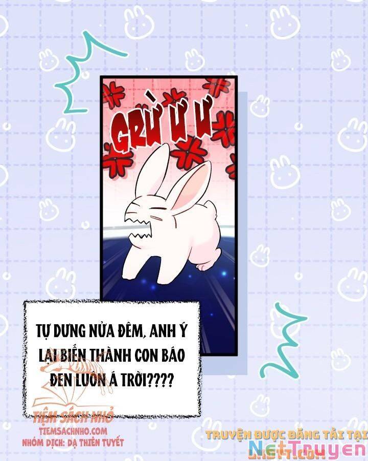 Mối Quan Hệ Cộng Sinh Giữa Báo Đen Và Thỏ Trắng: Chapter 56