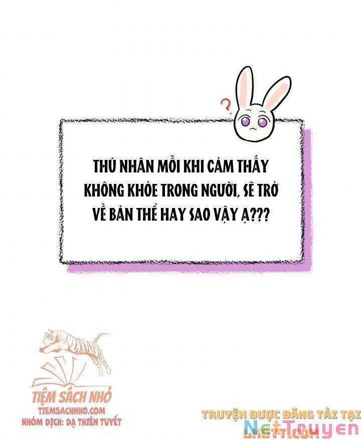 Mối Quan Hệ Cộng Sinh Giữa Báo Đen Và Thỏ Trắng: Chapter 56