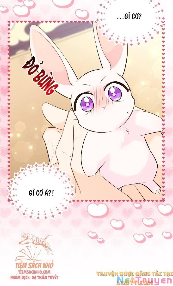 Mối Quan Hệ Cộng Sinh Giữa Báo Đen Và Thỏ Trắng: Chapter 56