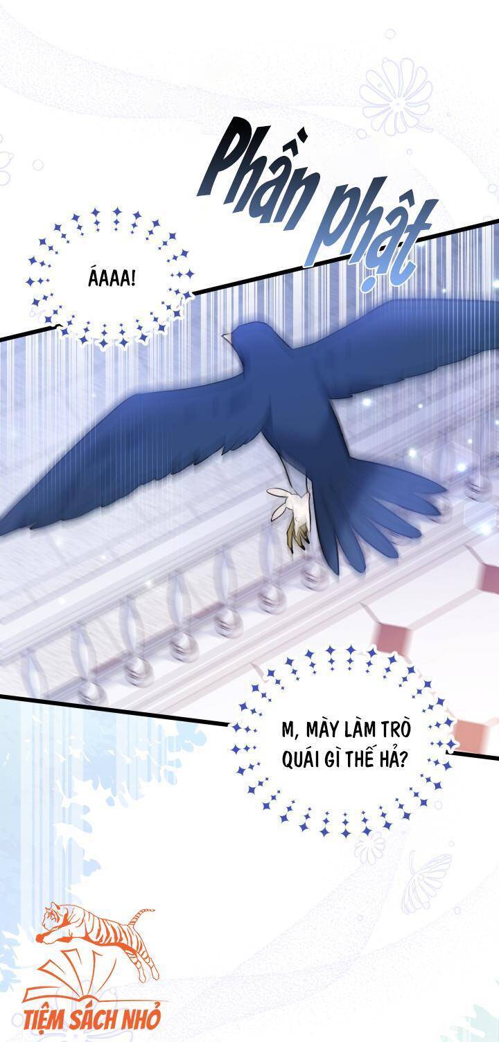 Mối Quan Hệ Cộng Sinh Giữa Báo Đen Và Thỏ Trắng: Chapter 57