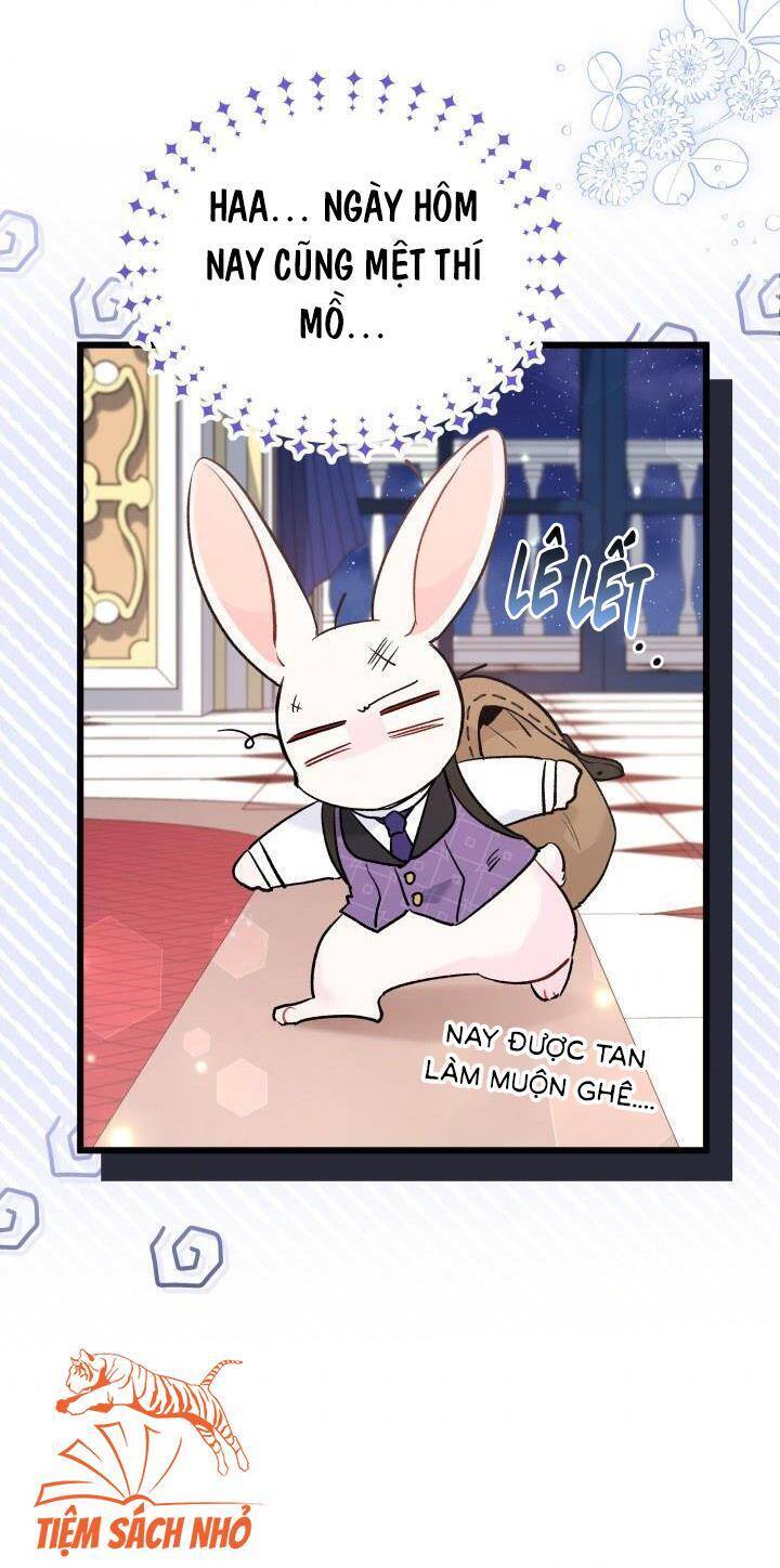 Mối Quan Hệ Cộng Sinh Giữa Báo Đen Và Thỏ Trắng: Chapter 57