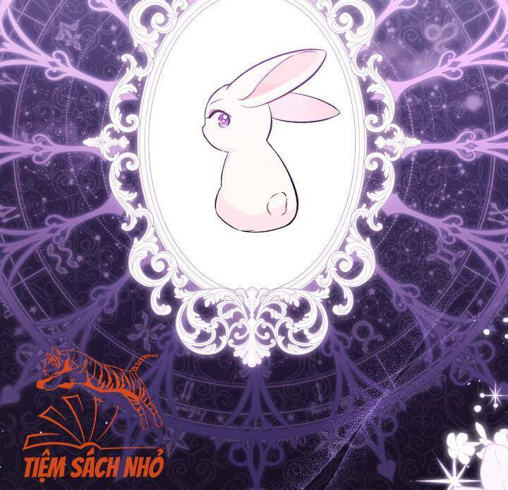 Mối Quan Hệ Cộng Sinh Giữa Báo Đen Và Thỏ Trắng: Chapter 57