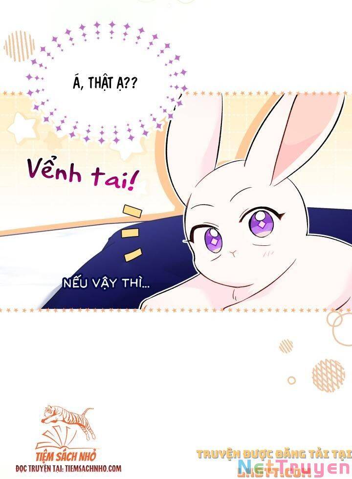 Mối Quan Hệ Cộng Sinh Giữa Báo Đen Và Thỏ Trắng: Chapter 58