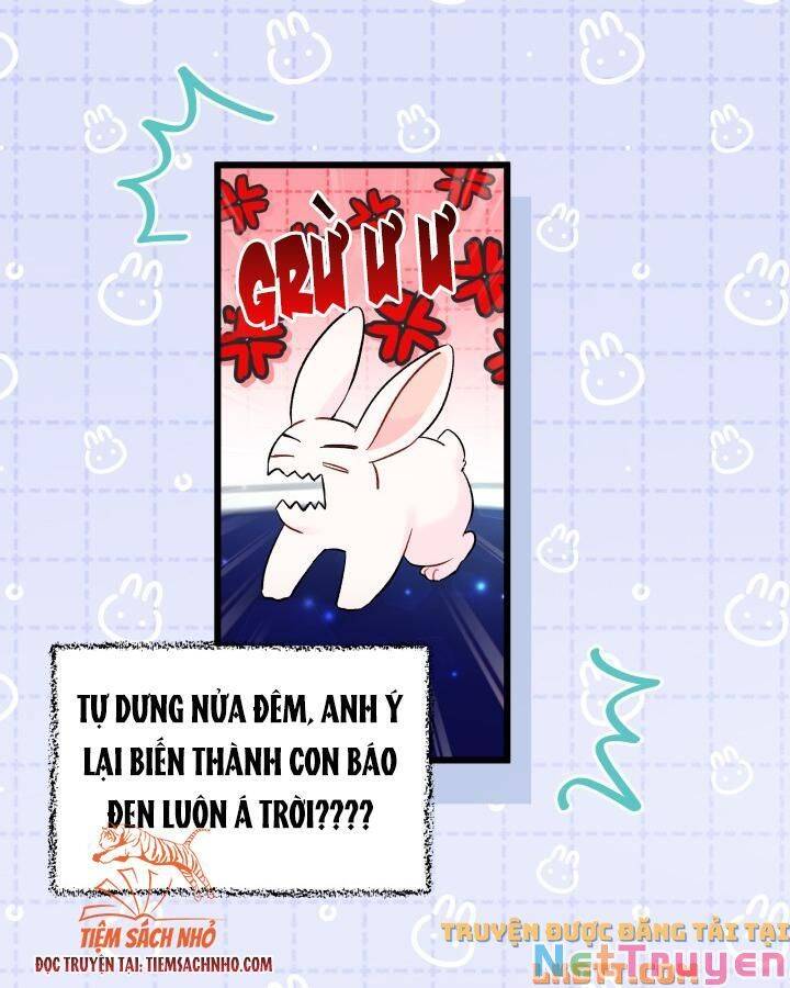 Mối Quan Hệ Cộng Sinh Giữa Báo Đen Và Thỏ Trắng: Chapter 58