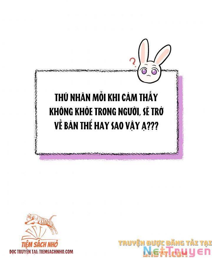 Mối Quan Hệ Cộng Sinh Giữa Báo Đen Và Thỏ Trắng: Chapter 58