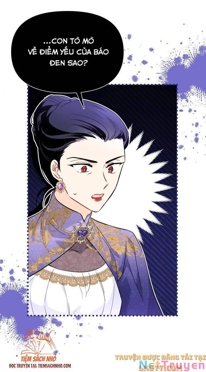 Mối Quan Hệ Cộng Sinh Giữa Báo Đen Và Thỏ Trắng: Chapter 58