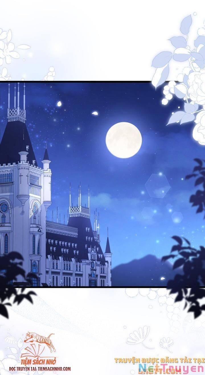 Mối Quan Hệ Cộng Sinh Giữa Báo Đen Và Thỏ Trắng: Chapter 58