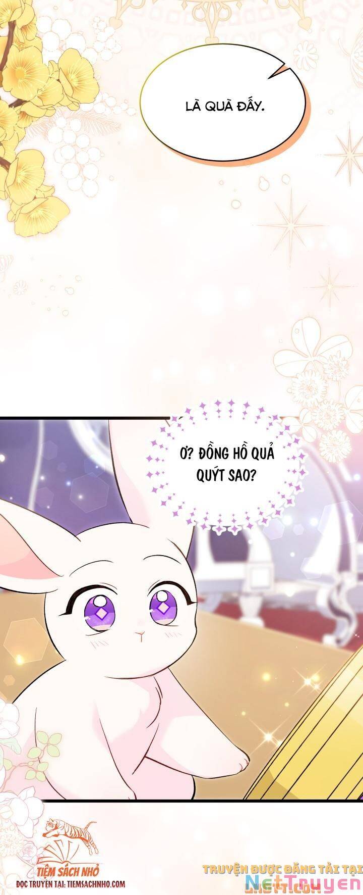 Mối Quan Hệ Cộng Sinh Giữa Báo Đen Và Thỏ Trắng: Chapter 58