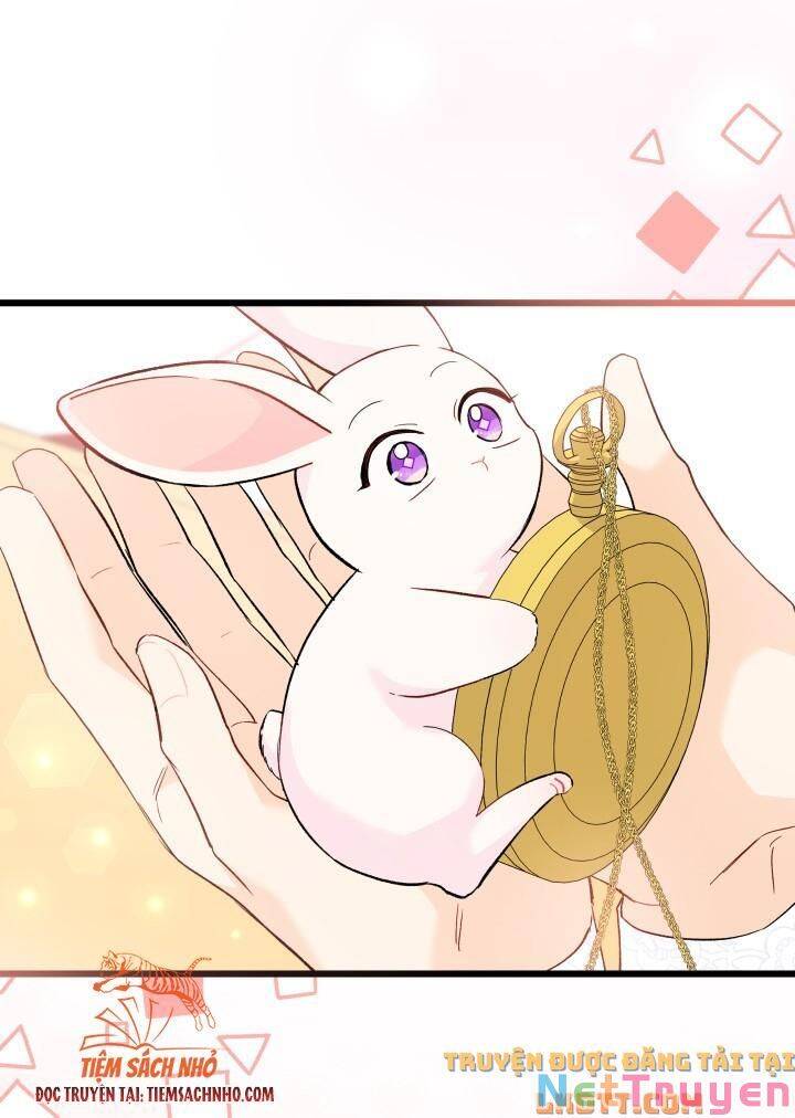 Mối Quan Hệ Cộng Sinh Giữa Báo Đen Và Thỏ Trắng: Chapter 58