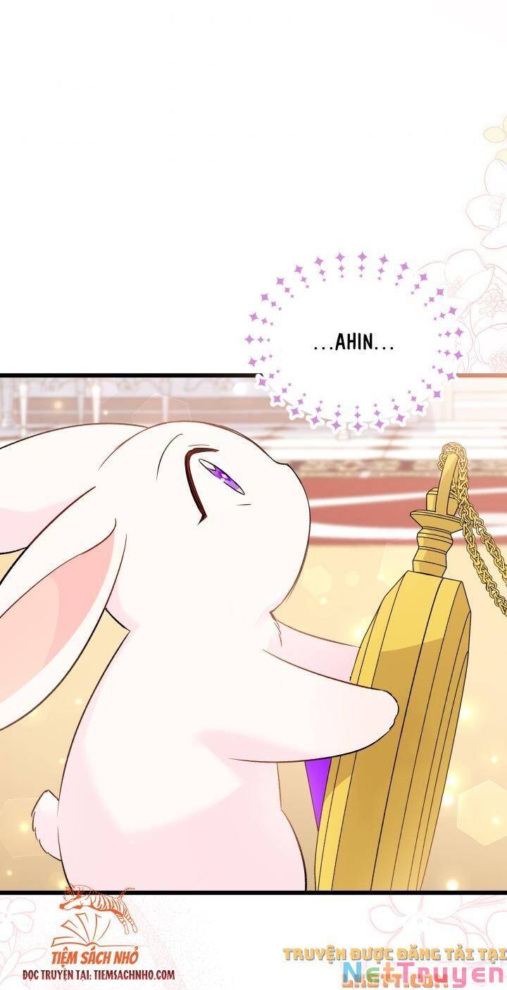 Mối Quan Hệ Cộng Sinh Giữa Báo Đen Và Thỏ Trắng: Chapter 58