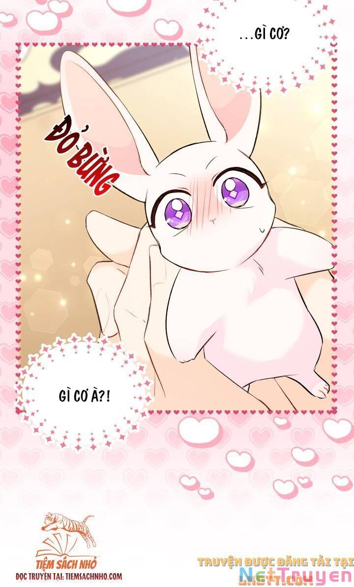 Mối Quan Hệ Cộng Sinh Giữa Báo Đen Và Thỏ Trắng: Chapter 58