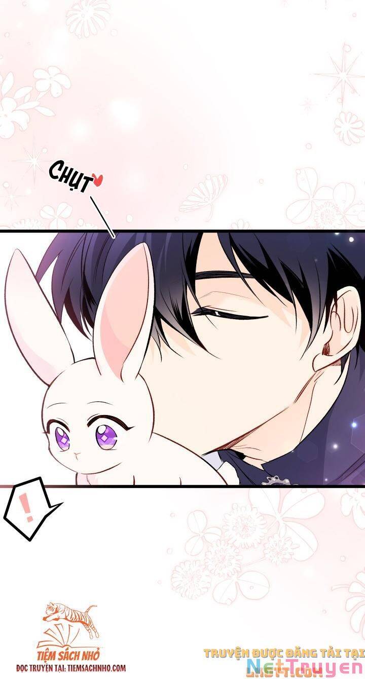 Mối Quan Hệ Cộng Sinh Giữa Báo Đen Và Thỏ Trắng: Chapter 58